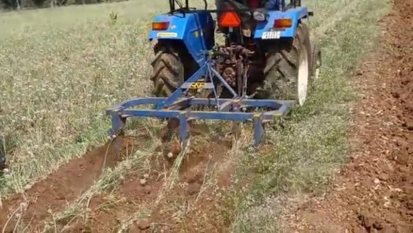 Chamarajanagar Farmers Destroyed Acres Of Onion Crop