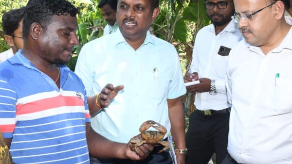 400 ರಿಂದ 500 ರೂ. ಸಿಗಬಹುದು