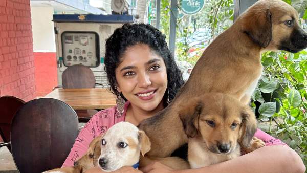 Animal Lovers Slams Mysuru-Kodagu MP Simha Over His Comments on Dogs