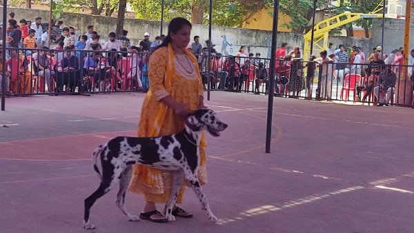State level 6th dog show at Davanagere