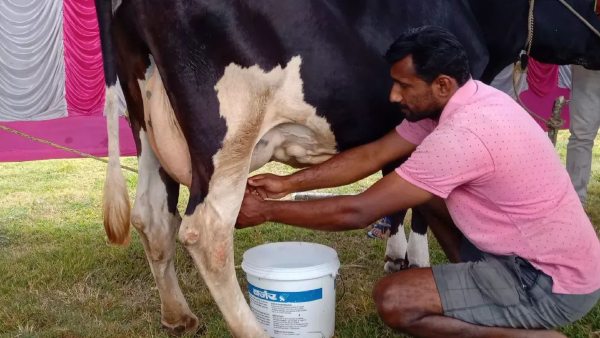 ರೈತರ ಶ್ರಮ ಅಭಿನಂದನೀಯ