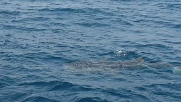  ಮೀನುಗಾರರಿಗೆ ಸೂರು ಕಲ್ಪಿಸಲಾಗುತ್ತದೆ