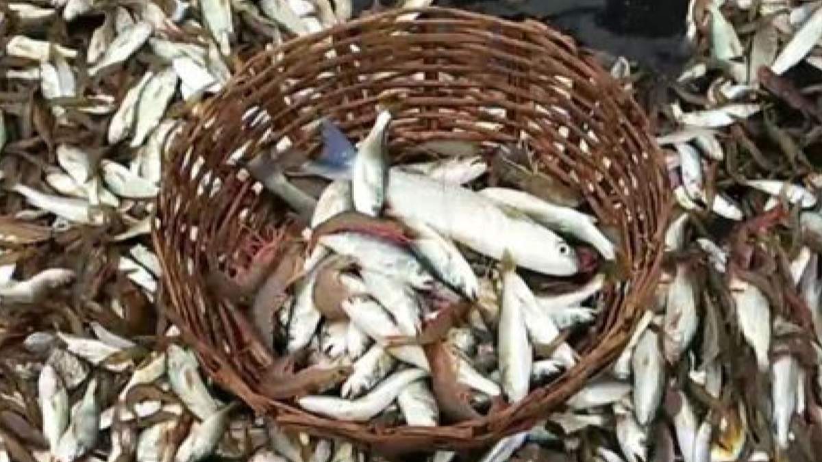 Karnataka Budget 2023: Major announcements and Fund Allocation to North karnataka Karnataka Budget 2023: Major announcements and Fund Allocation to North karnataka