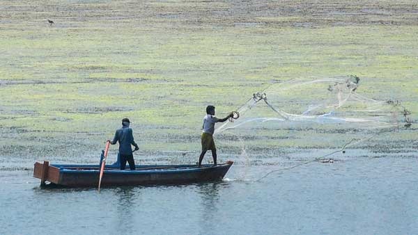 Fishing should be banned in Bengaluru city lakes and should protect biodiversity, Lake activists urge,