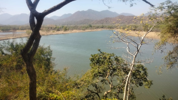 Body Of Suspected Poacher Found In Chamarajanagar Palar River