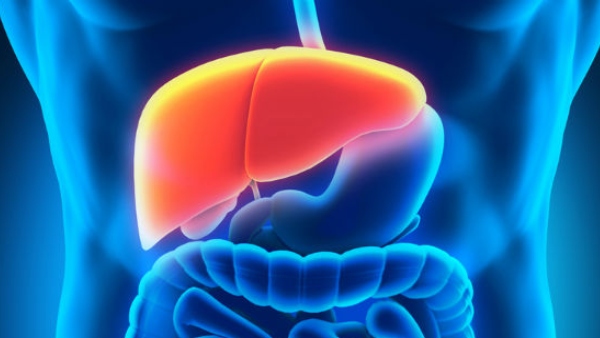 Kerala: Teen Gives Part Of Liver To Father, Becomes Youngest Organ Donor In India