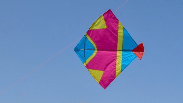 ಶ್ವಾನ ಪ್ರದರ್ಶನ, ಕೃಷಿ ಮೇಳ, ಗಾಳಿಪಟ ಉತ್ಸವ ಶ್ವಾನ ಪ್ರದರ್ಶನ, ಕೃಷಿ ಮೇಳ, ಗಾಳಿಪಟ ಉತ್ಸವ