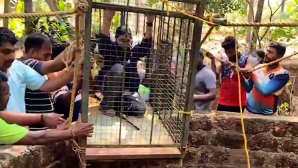 Veterinarian Risked Her Life As She Entered The Well For Rescue Leopard