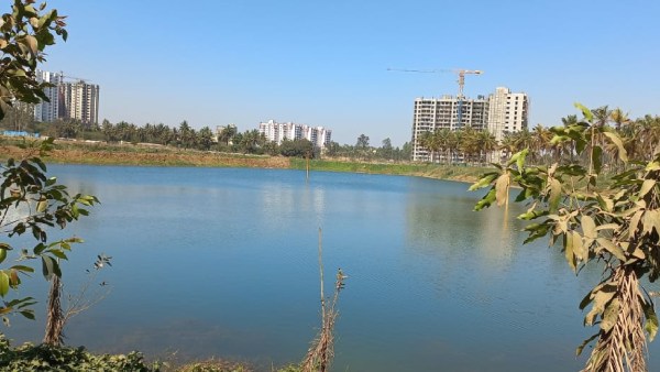 Bengaluru: Restored Margondanahalli lake in Electronic City opens to public