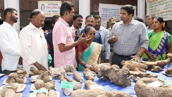 Root and tuber mela 2023 in Mysuru: What are the specialties?