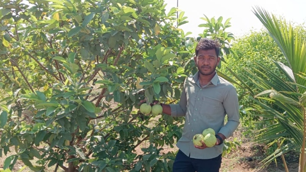 Nrega Scheme Helps To Young Farmers In Raichur