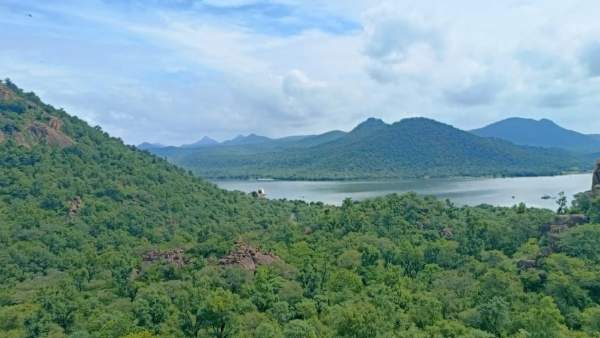 ರೇಡಿಯೋ ಕಾಲರ್‌ ಸಹಾಯದಿಂದ ಆನೆ ಗುರುತು ಪತ್ತೆ