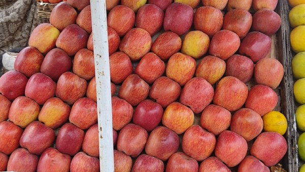  ವ್ಯಾಪಾರಿಗಳ ಮುಖದಲ್ಲಿ ಸಂತಸ