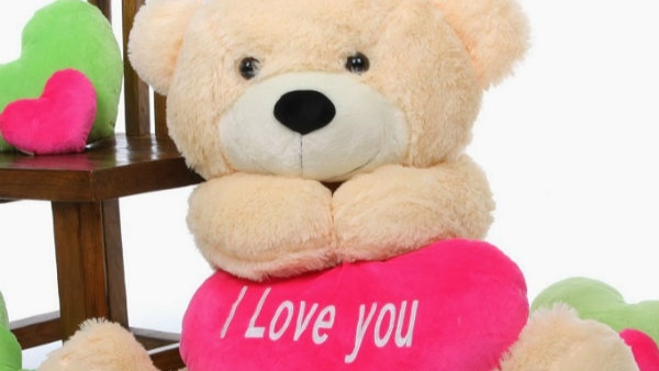 ವಿವಿಧ ರೀತಿಯ ಟೆಡ್ಡಿಗಳನ್ನು ಉಡುಗೊರೆಯಾಗಿ ನೀಡಿ