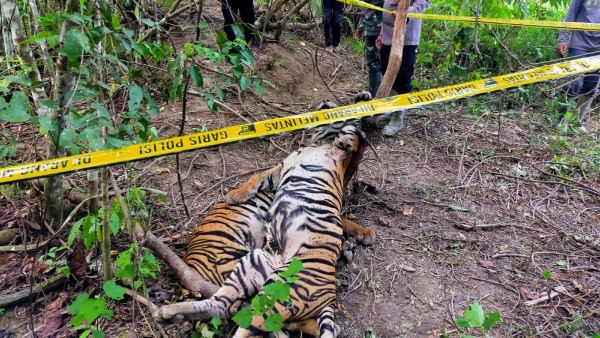  ಮುಖ್ಯ ಅರಣ್ಯ ಸಂರಕ್ಷಣಾಧಿಕಾರಿ ಹೇಳಿದ್ದೇನು?