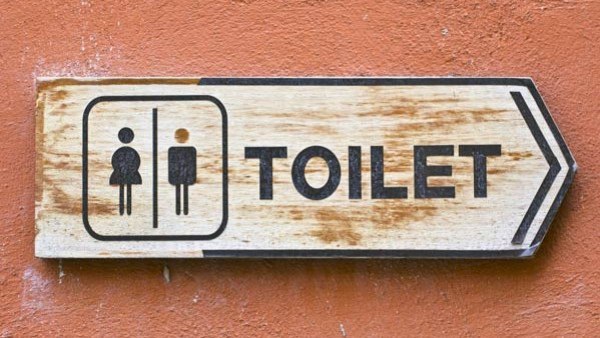 Many Toilets In State Not In Usable Condition Due to Lack of Maintenance