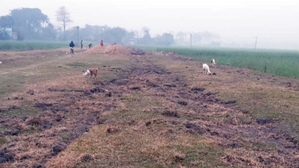 Thieves Steal A 2 Km long Railway Track, 80 feet long bridge In Bihar
