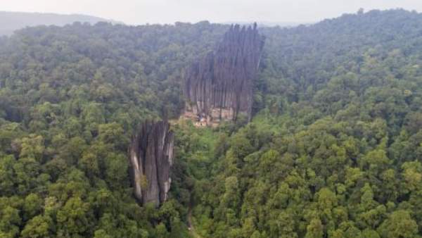 Mahashivratri 2023: Shivratri Special Worship In Yana