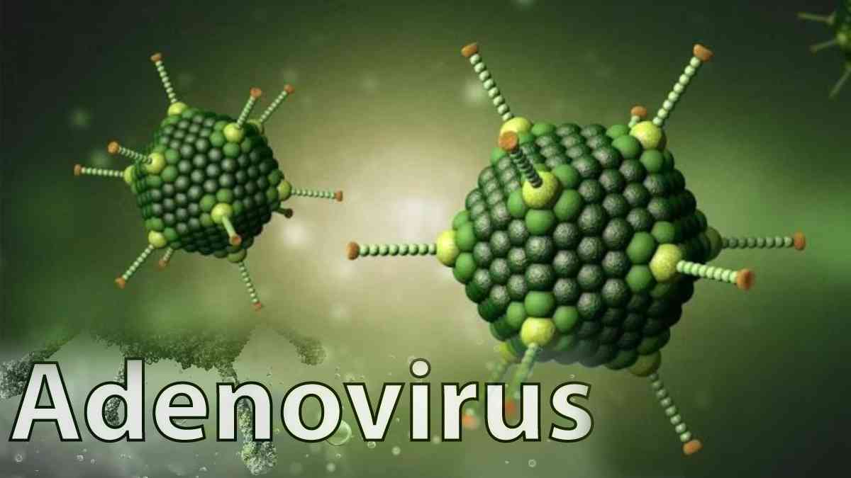 Adenovirus cases on rise