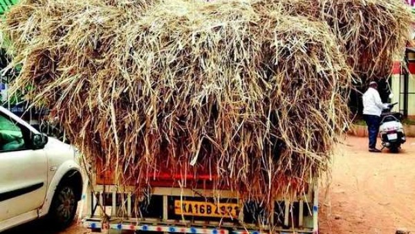  ಜಿಲ್ಲೆಯಲ್ಲಿ ಮೇವಿನ ಅಭಾವ ಸಾಧ್ಯತೆ