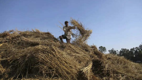  ತಾಲೂಕುವಾರು ಮೇವು ಬೆಳೆಯ ವಿವರ