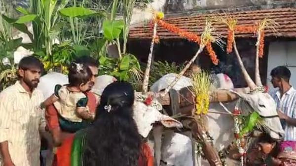 Ugadi Festival Celebration In Chamarajanagar District