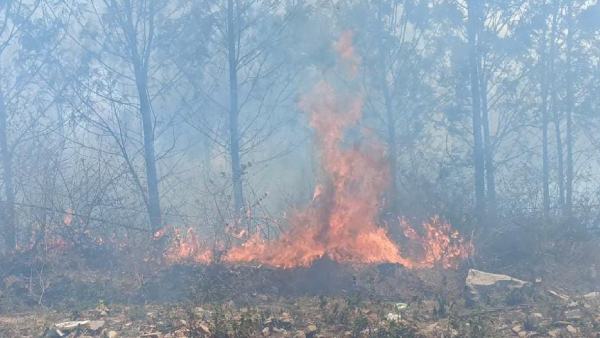 Fire Set At Hiregowja Reserve Forest Fire Set At Hiregowja Reserve Forest