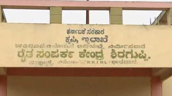 More Than 516 Cattle Died Of Lumpy Skin Disease: Farmers Did Not Get Compensation