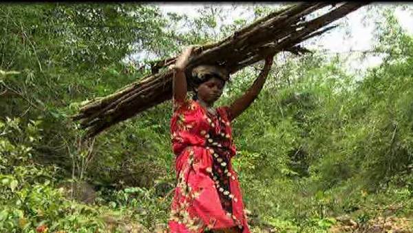  ಕಟ್ಟಿಗೆ ಮಾರಾಟದಿಂದ ಜೀವನ 