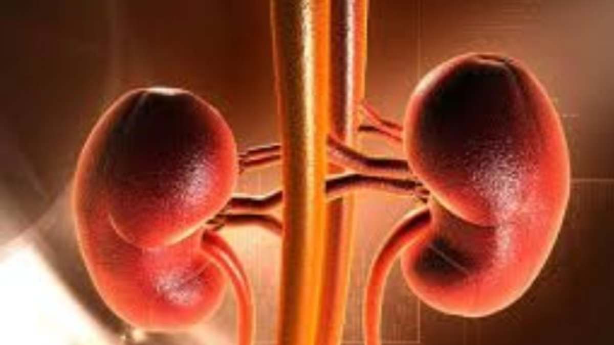 Waiting time for kidney transplant in Karnataka is 4 years, 5,000 people on waiting list! Waiting time for kidney transplant in Karnataka is 4 years, 5,000 people on waiting list!