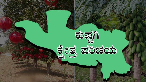Kushtagi Karnataka Elections 2023: ಕುಷ್ಟಗಿ ಕ್ಷೇತ್ರದಲ್ಲಿ ಕೈ ಕಮಲ ಜಿದ್ದಾಜಿದ್ದಿ 