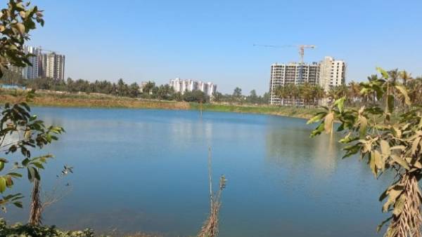 95 percent of Bengalurus lakes encroached, polluted: Report 