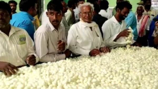  ಜಿಲ್ಲಾವಾರು ರೇಷ್ಮೆ ಉತ್ಪಾದನೆಯ ವಿವರ