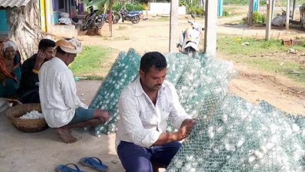  ರೇಷ್ಮೆ ಬೆಳೆಯ ವಿಸ್ತೀರ್ಣದ ವಿವರ 