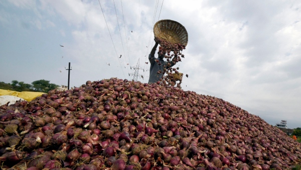 Farmers in Trouble After Onion Prices Drop In Various Districts Of Karnataka