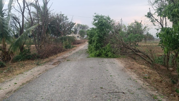 ತೋಟಗಾರಿಕಾ ಬೆಳೆಗಳು ನಷ್ಟ