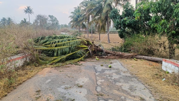 ವಿದ್ಯುತ್‌ ಕಡಿತ: ಸೆಕೆಗೆ ಜನರ ಪರದಾಟ