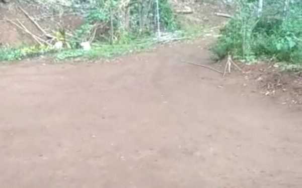 First Rains of the season in Chikkamagaluru district