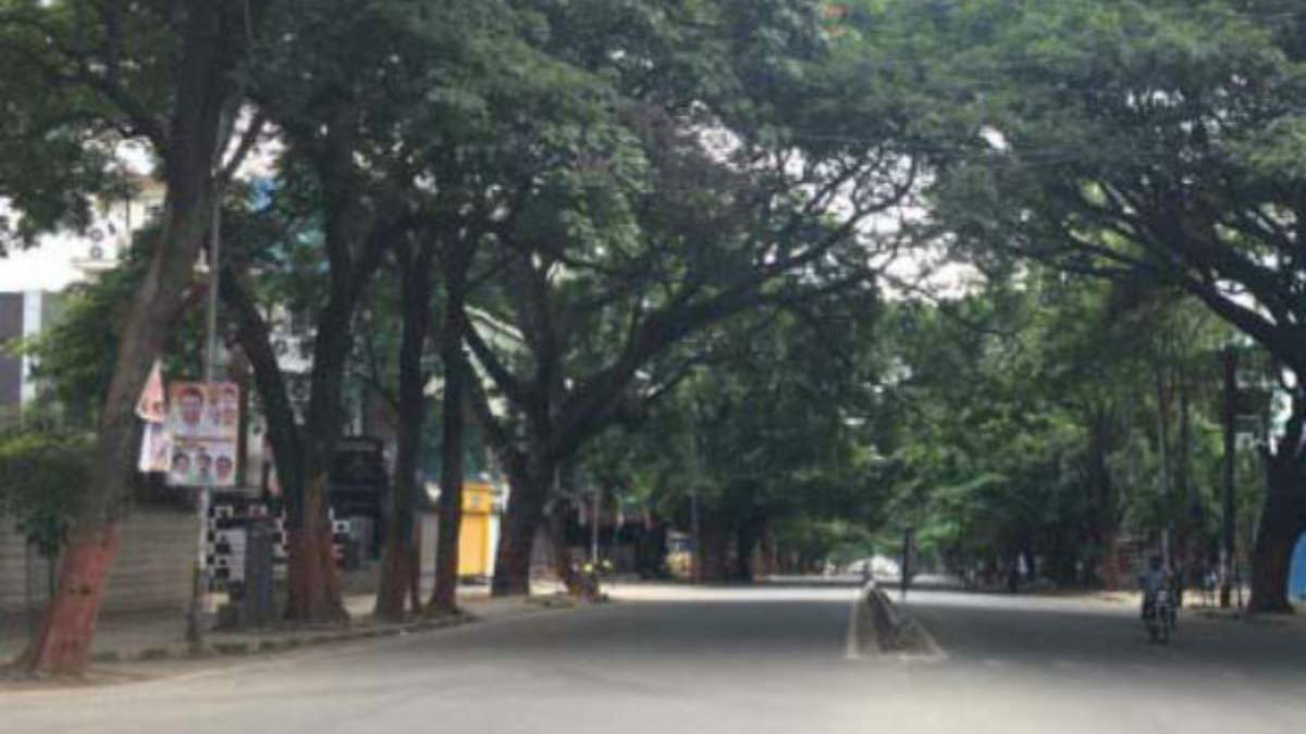 Sankey flyover project: BBMP chief commissioner order to dont cut trees Sankey flyover project: BBMP chief commissioner order to dont cut trees