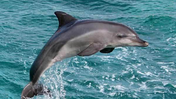 Sindhu, Ganga, Brahmaputra flow reduced due to climate change: UN chief 