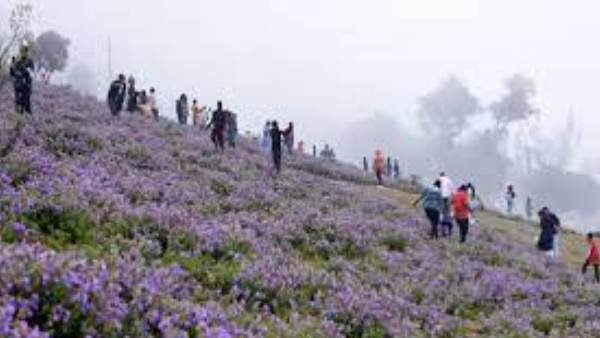 ಚಿಕ್ಕಮಗಳೂರು 