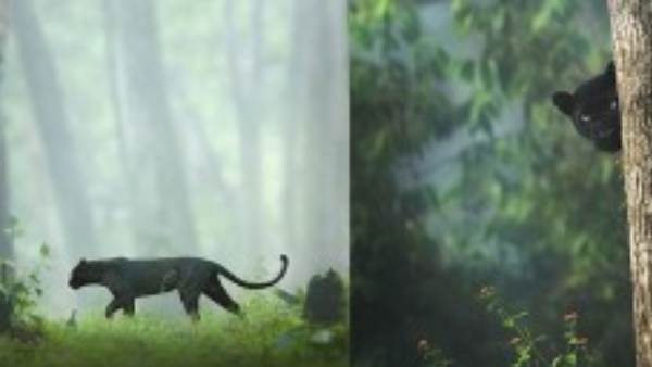 ಬಿಆರ್ ಹಿಲ್ಸ್ 