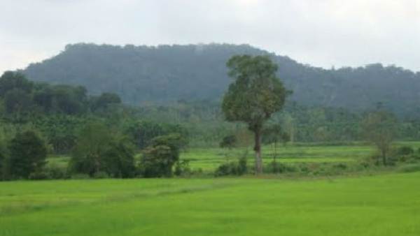 ಹೊಗೇನಕಲ್ ಫಾಲ್ಸ್‌ ತಮಿಳುನಾಡು 