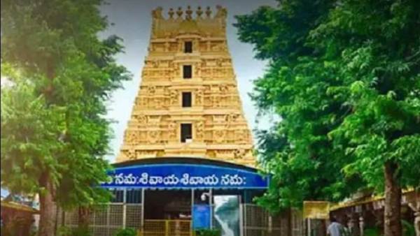 Mudukuthore Mallikarjuna Swamy Devotees Celebrate Ugadi In Srisailam