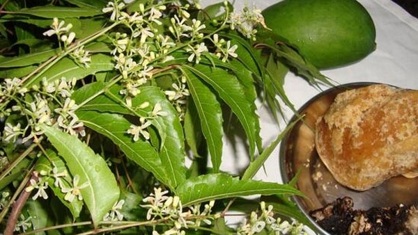  ತರಕಾರಿ ದರದ ವಿವರ ಇಲ್ಲಿದೆ