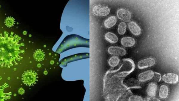 Flu And Influenza Cases Increased In India In Last 2 Months, 10 Advisory Fact Inside