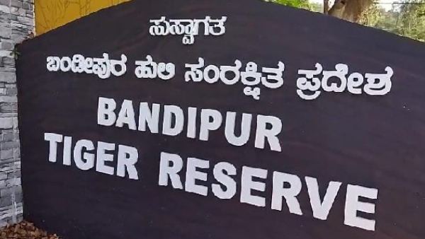 Green Tax for inter-state vehicles in Bandipur, New rules by forest department