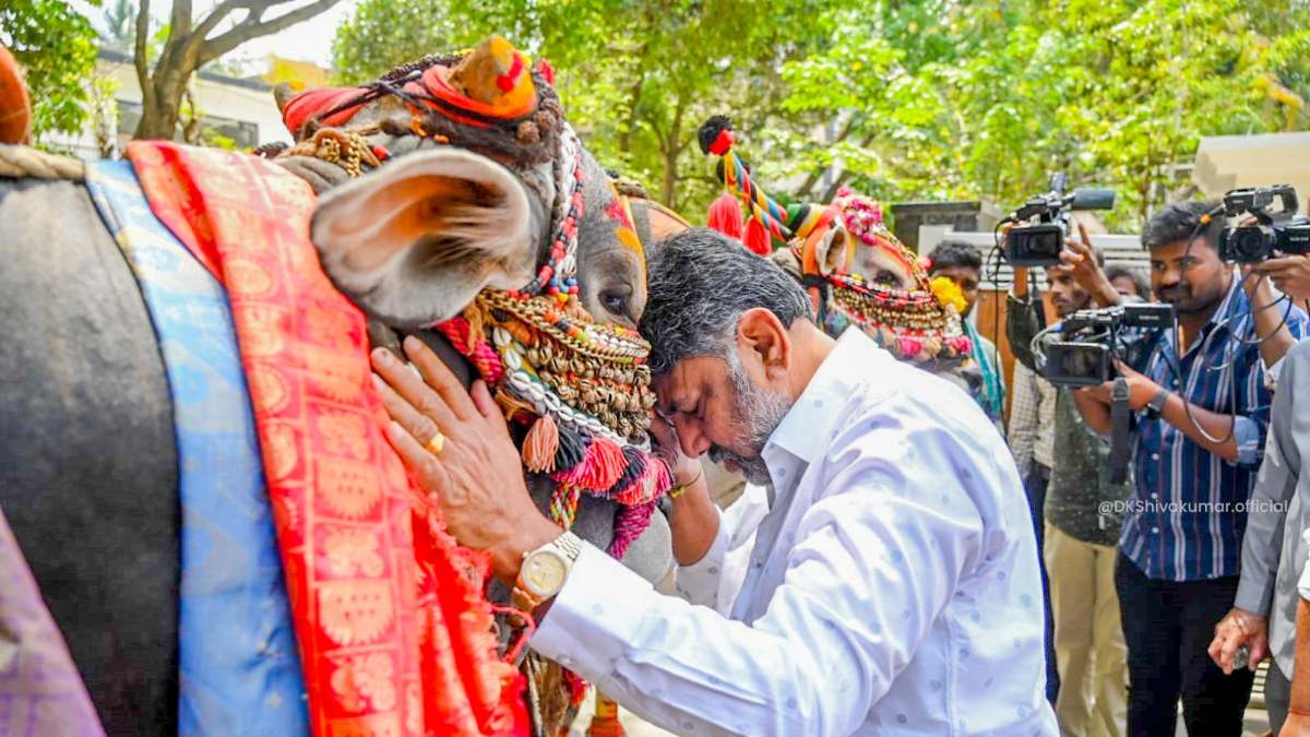 Karnataka Polls 2023 : BJP to field Appajigowda against DK Shivakumar in Kanakapura