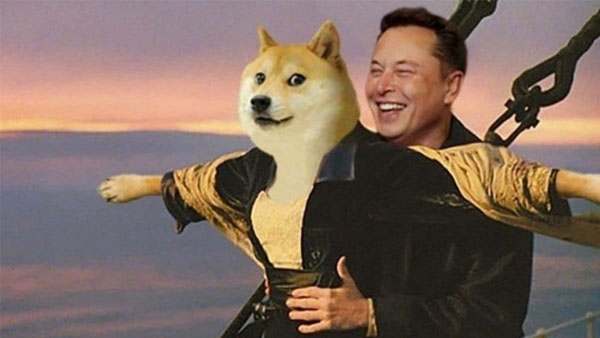 Musk changed Twitters blue bird logo to dog memes