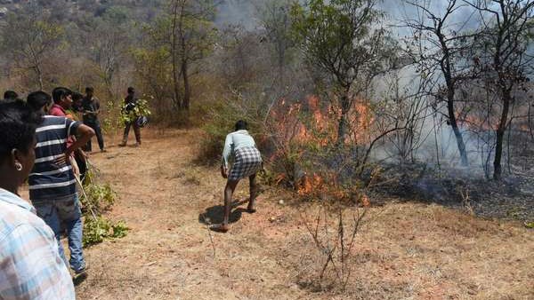 Fire disaster in Chamundi Hills: 9 acres of forest destroyed